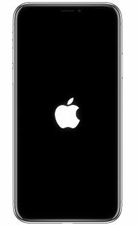Apple logo branding on iphone